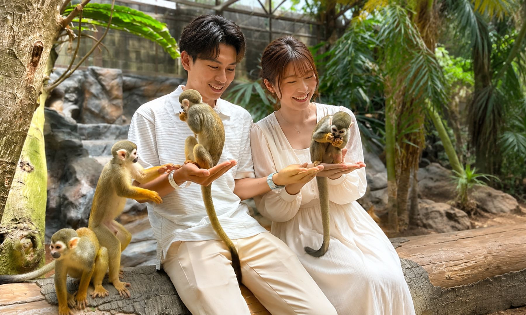 おすすめ体験② リスザル への餌やり体験